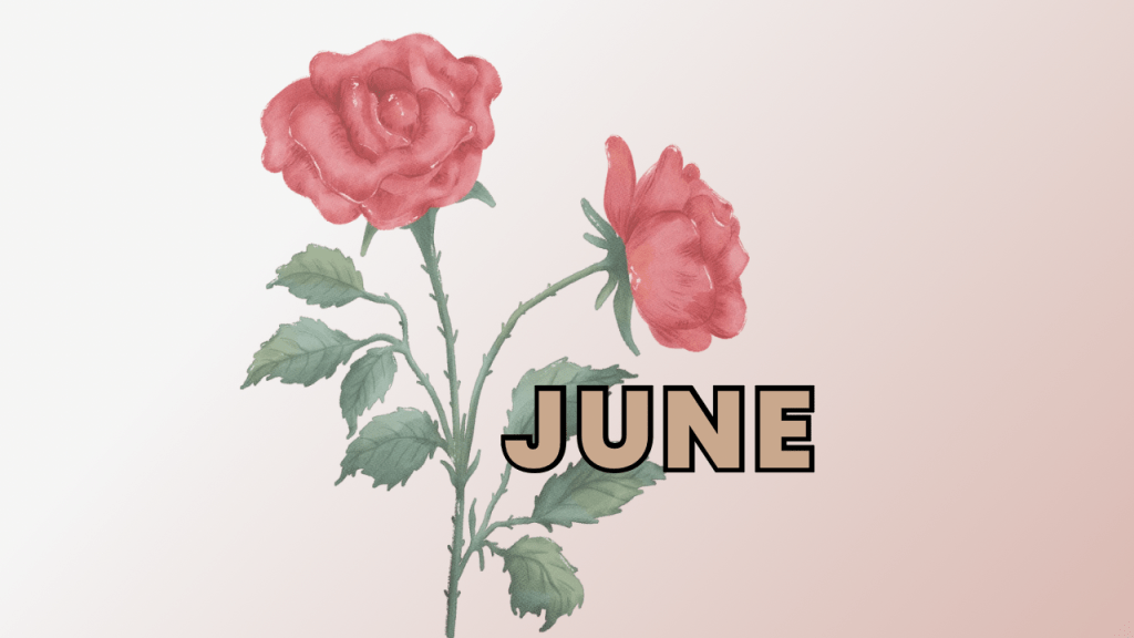 A Simple Summer: My Intentions for&nbsp;June